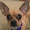 charlieayers